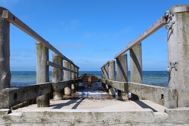 Free Baltic Sea Web photo and picture