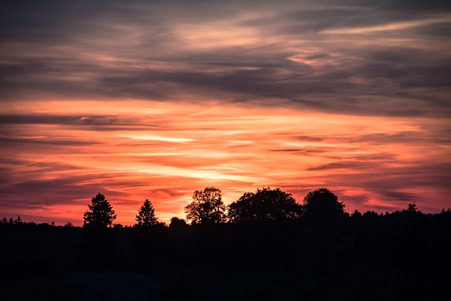Free Sunset Setting Sun photo and picture