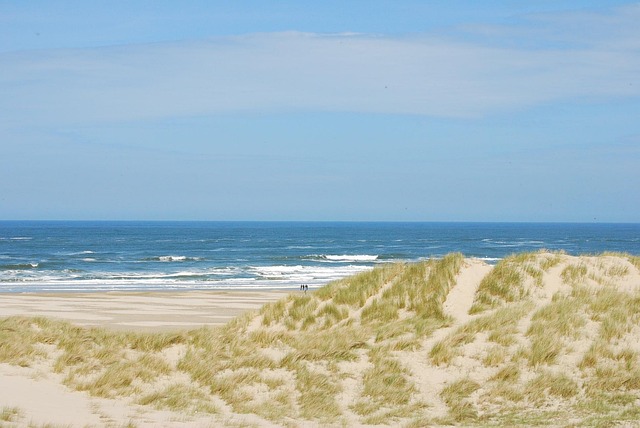 Free Dunes Coast photo and picture
