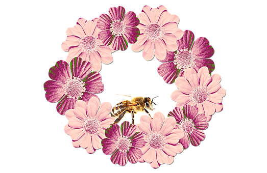Free Flower Flower Wreath illustration and picture