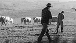 farmers, farm, farming