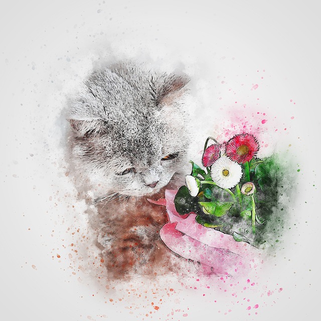 Free cat grey pet illustration