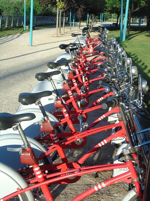 Free Bike Walk photo and picture