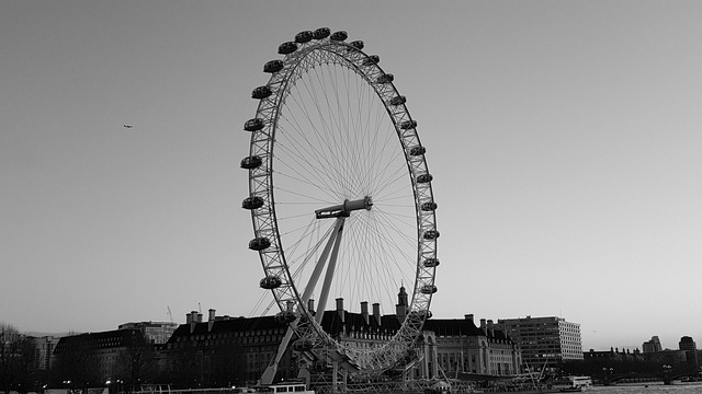 Free London Eye Of London photo and picture