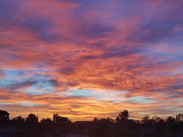 Free Purple Sky Nature photo and picture