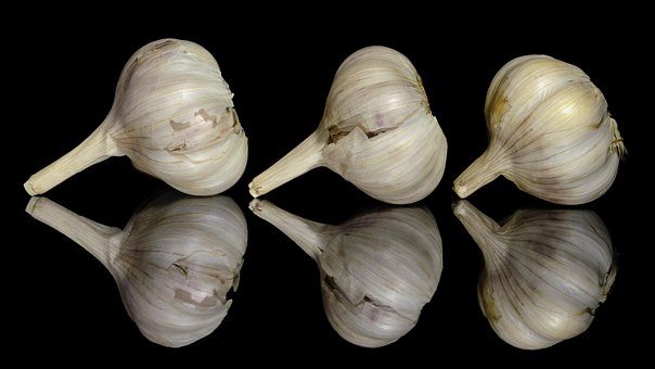 Usturoi, Alimente, Condimente, Legume