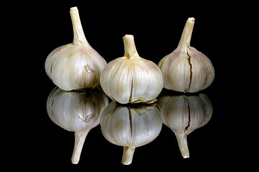 Usturoi, Alimente, Condimente, Legume