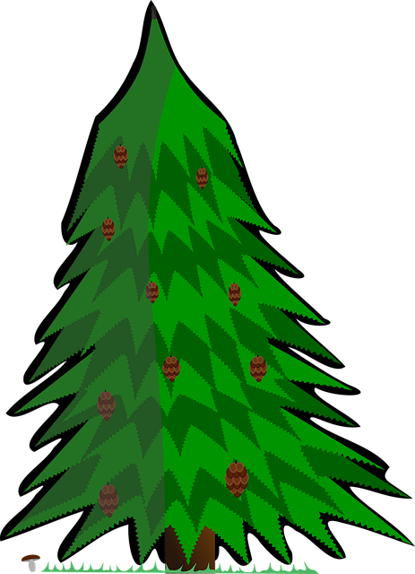 Conífera, Vector, Árbol, Pino