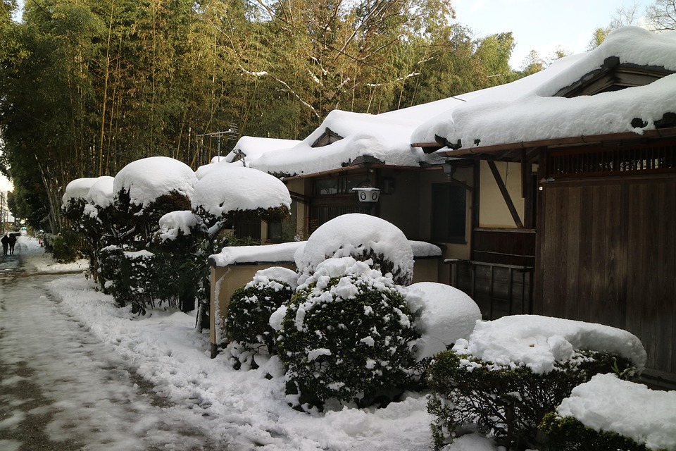 Free photos of Snow scene