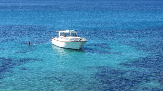 Free Sea Cala photo and picture