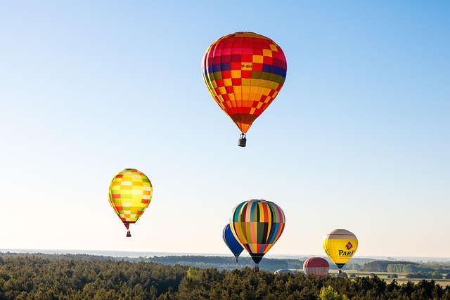 Free Balloons Flying photo and picture