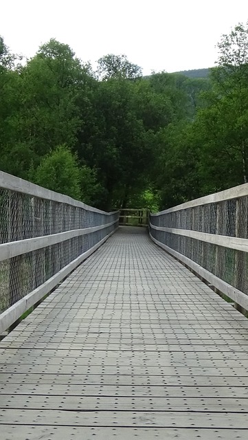 Free Boardwalk Planks photo and picture