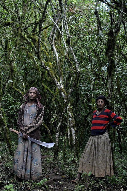 Free Ethio Coffee photo and picture