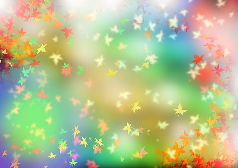 Bunt, Herbst, Blätter, Wald, Laub, Blatt