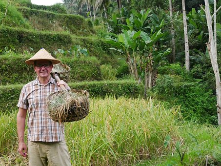 Free Indonesia Bali photo and picture