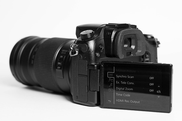 Free Dslr Mirrorless photo and picture