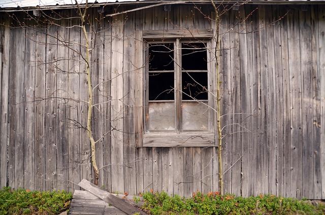 Free House Barn photo and picture