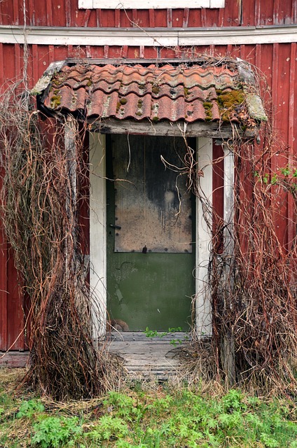 Free Old Door photo and picture