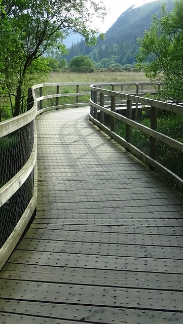 Free Boardwalk Wavy photo and picture