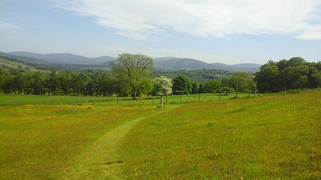 Free View Meadow photo and picture