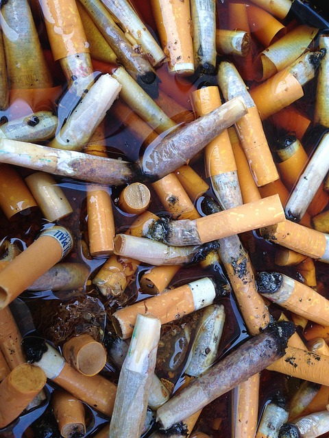 Free Cigarette Filters Cigarettes photo and picture
