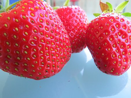 Free Red Fruit photo and picture