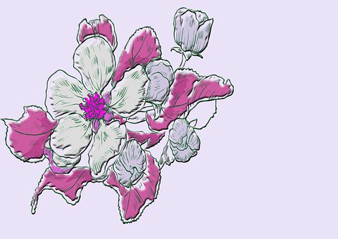 Free Bunch Of Flowers Blossoms illustration and picture