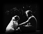 friendship, pet, bulldog