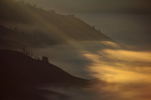 Free Shadow Morning photo and picture