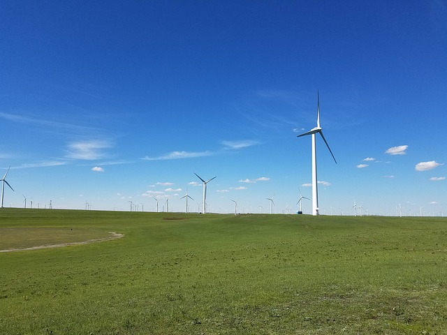 blue sky, fresh air, cloud, grass land