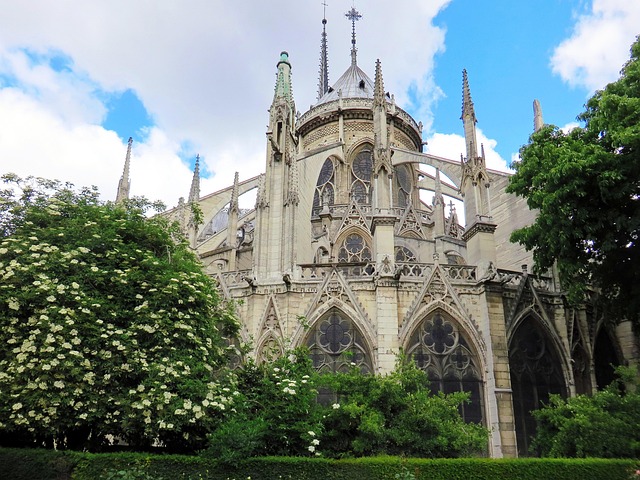 Free Paris Our Lady photo and picture