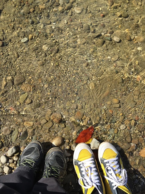 Das Kortright, Conservation Centre, Park