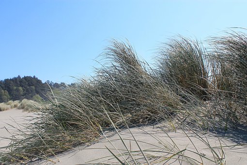 Free Seascape California photo and picture