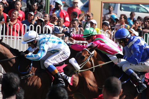 Courses Hippiques, Jockey, Cheval