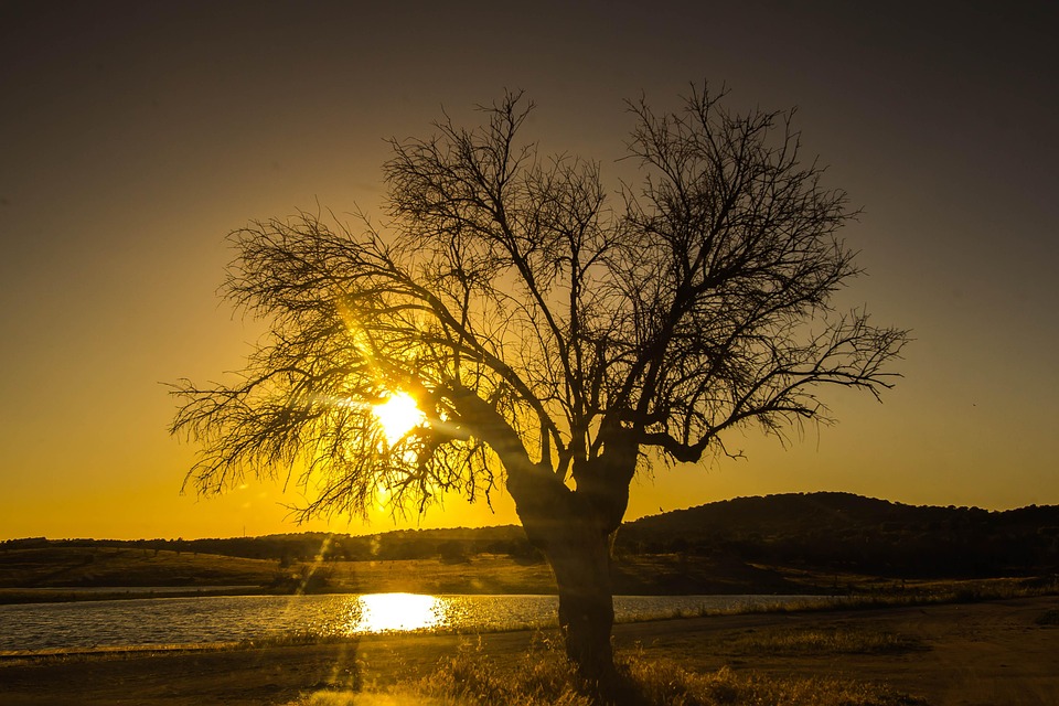 Romantic Retreats: Crafting the Perfect Algarve Honeymoon Itinerary