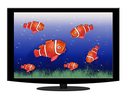 Free Aquarium Tv illustration and picture