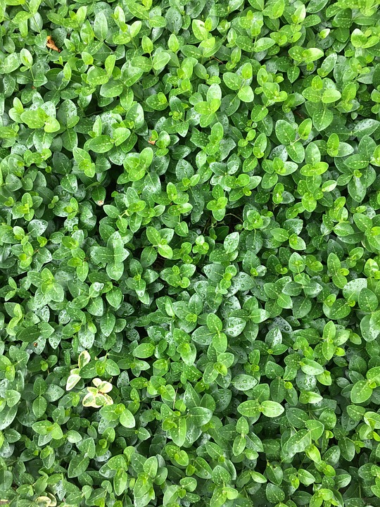 黑暗骑士崛起票房