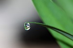 drop of water, drip, water