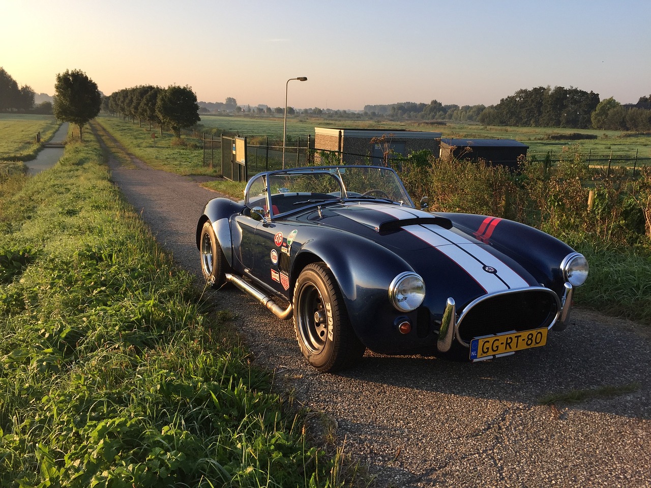 Cobra - free online jigsaw puzzle photo