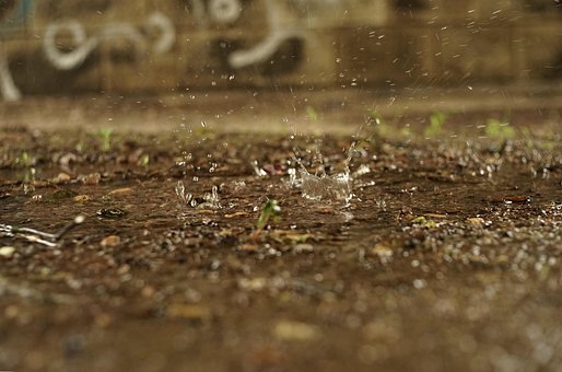 Water, Druppels, Waterdruppel, Natuur