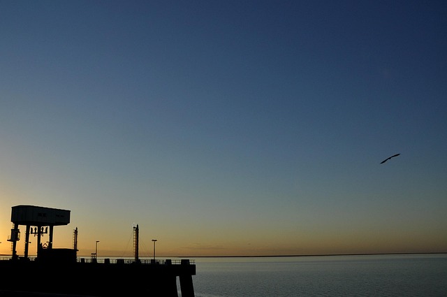 Free Sunset Darling photo and picture