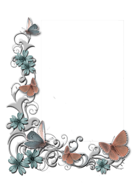 Free butterflies rose flowers illustration