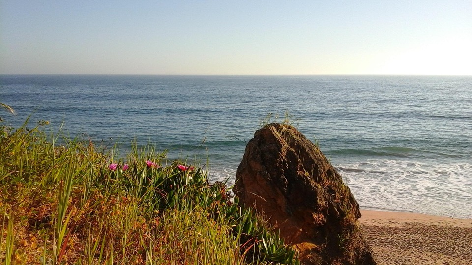 Taste of the Algarve: Culinary Stops on Your Road Trip