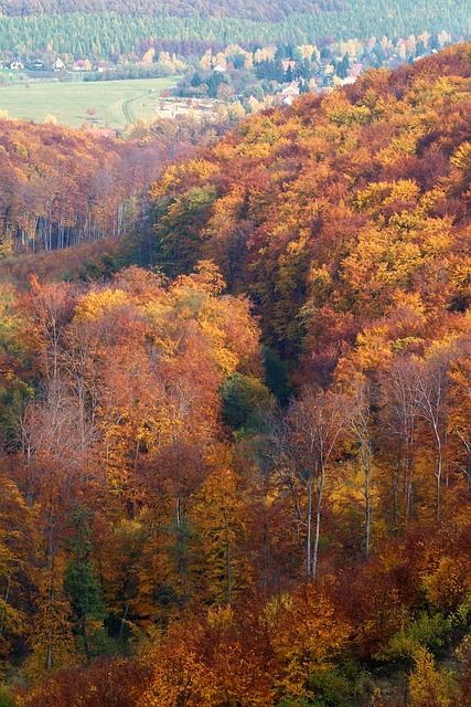 Free Hungary Mátra Mountains photo and picture