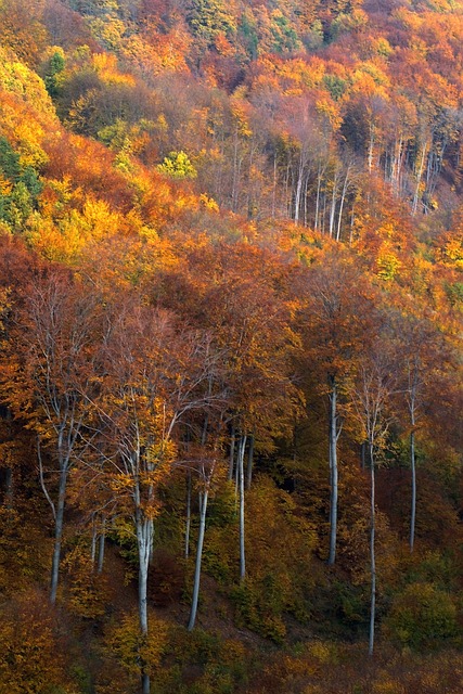 Free Hungary Mátra Mountains photo and picture