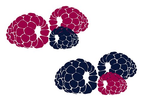 Más, Fruta, Rojo, Bosque, Frutas