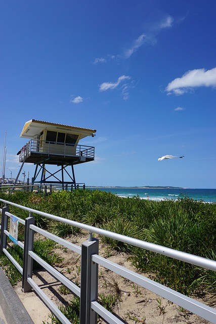 Free Beach Lifeguard photo and picture