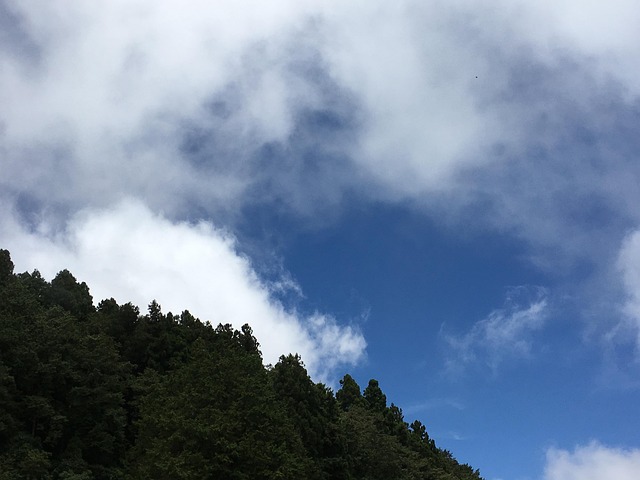 Free Alishan Taiwan photo and picture