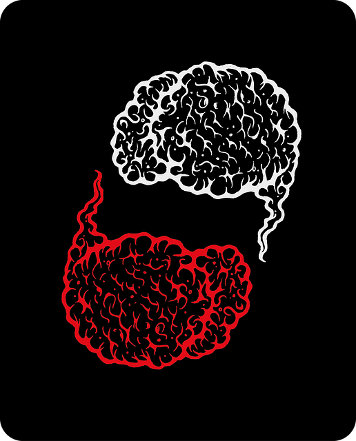 Free brain red duality illustration