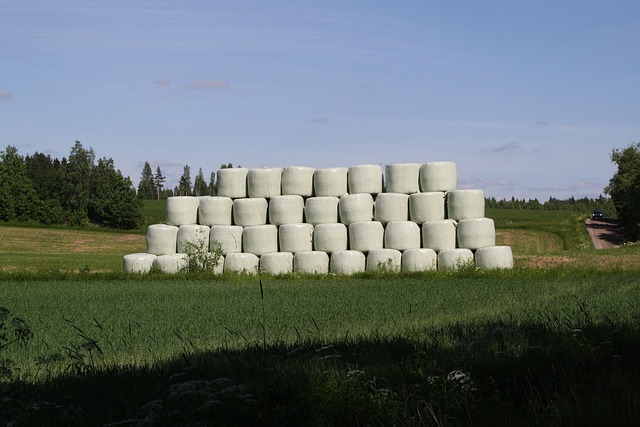 Free Haystack Countryside photo and picture